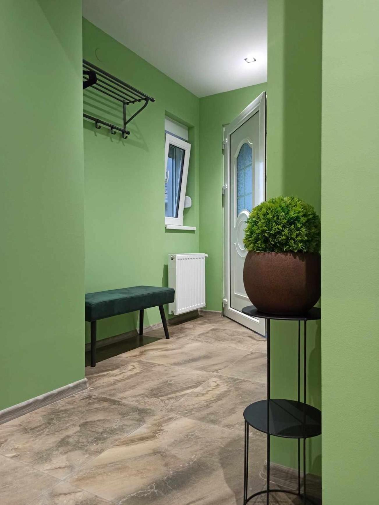 Dream House Apartamento Vrsac Exterior foto